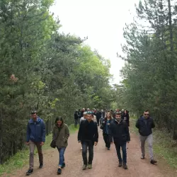 Foto ve Video Galeri